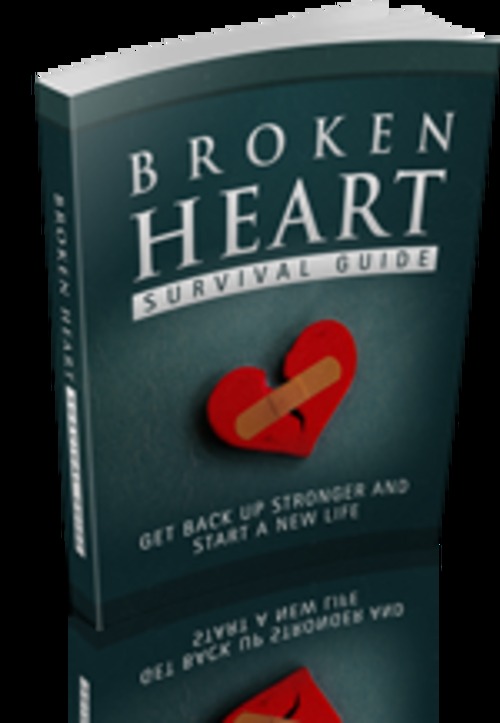 Product picture BrokenHeartSurvival