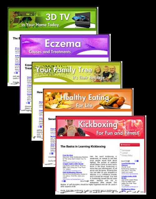 Product picture 10NicheWebsites